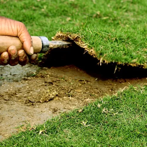 تركيب العشب (الثيل) الطبيعي 1719959801003 92cq3g