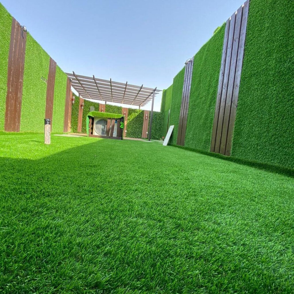 المعرض whatsapp image 2022 05 10 at 7.46.01 pm