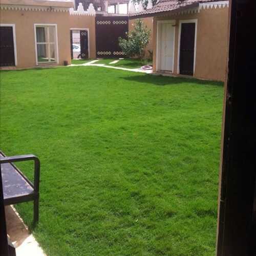 تركيب العشب (الثيل) الطبيعي whatsapp image 2022 10 27 at 7.02.48 pm