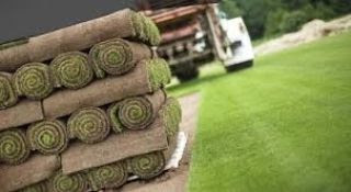 تركيب العشب (الثيل) الطبيعي m abo yasin 316491362 441999544776839 8195971630028123246 n