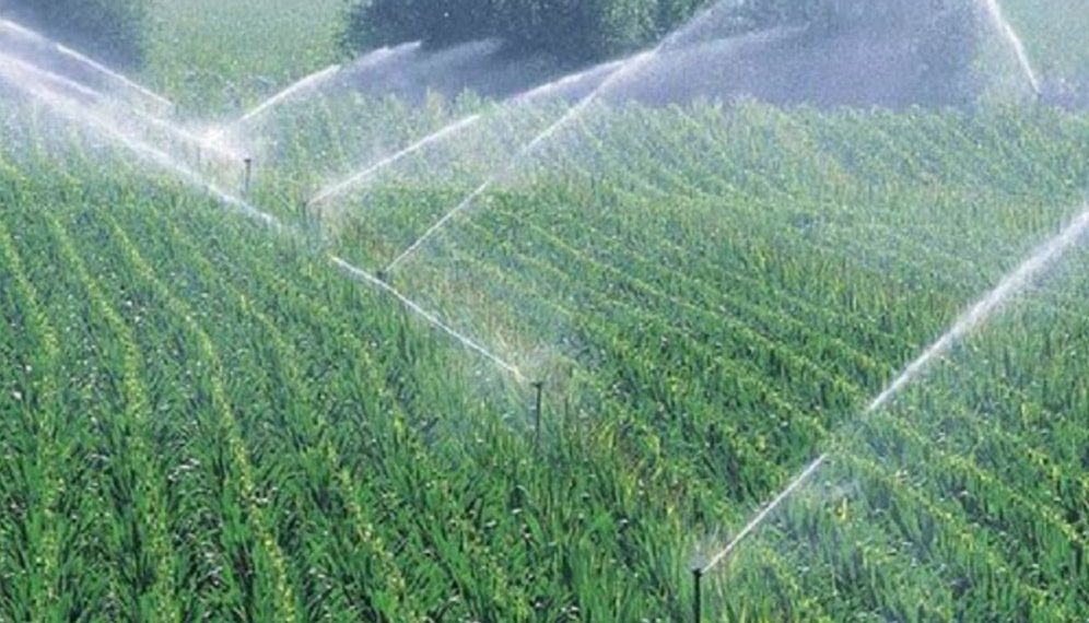 المعرض شركة تركيب شبكات الري ببريدة 3 996x570