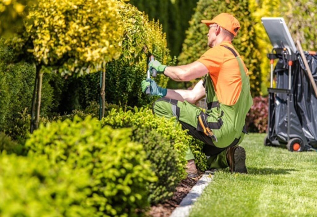 شركة تنسيق حدائق بالإحساء