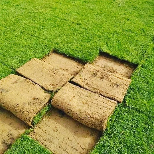 تركيب العشب (الثيل) الطبيعي شركة توريد وتركيب عشب طبيعي ابوظبي3