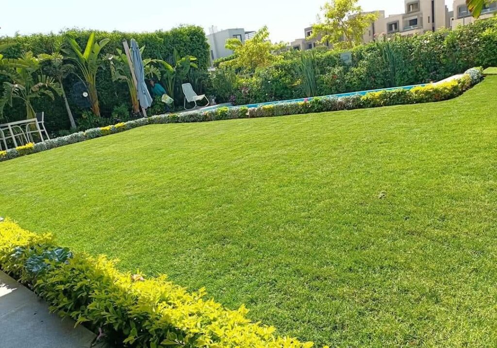 الفرق بين الثيل الطبيعي والثيل الصناعي ايهما افضل لحديقتك 25377